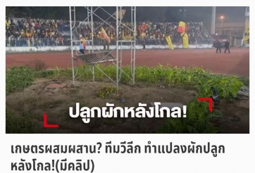 Báo Thái mỉa mai khi CLB V.League dùng SVĐ để trồng rau