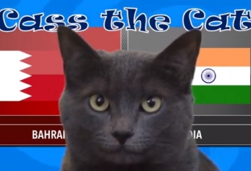 VIDEO: Mèo tiên tri dự đoán trận Bahrain vs Ấn Độ