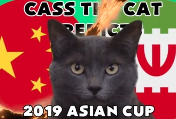 VIDEO: Mèo tiên tri dự đoán trận Trung Quốc vs Iran