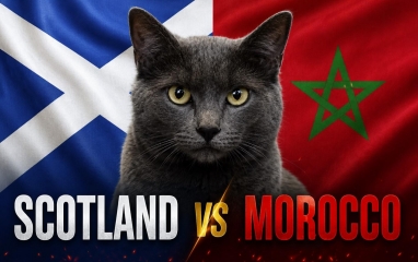 Mèo tiên tri dự đoán tỷ số Scotland vs Morocco: Kết quả gây sốc!