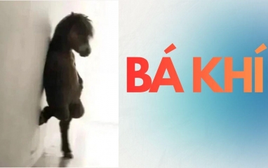 “Bá khí” là gì? Vì sao trào lưu này đang phủ sóng TikTok, Facebook?