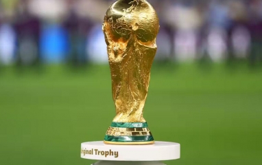 1 đội tuyển tính nhập tịch gần nửa đội hình dự World Cup