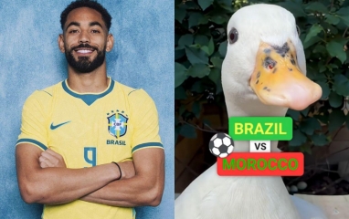 Đàn vịt đồng loạt chọn đội thắng ở đại chiến Brazil vs Ma Rốc