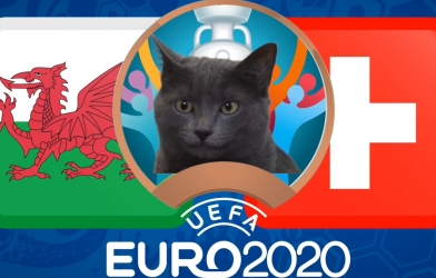 Mèo tiên tri dự đoán Xứ Wales vs Thụy Sĩ: Kết quả khó lường