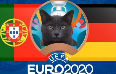 Mèo tiên tri dự đoán kết quả Bồ Đào Nha vs Đức: Lựa chọn tối ưu!