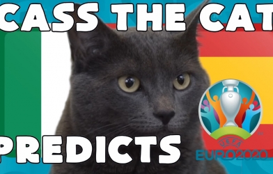 Mèo tiên tri dự đoán kết quả Ý vs Tây Ban Nha: Không thể sai sót!