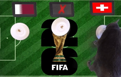 Mèo tiên tri dự đoán tỷ số Qatar vs Thụy Sĩ: Qatar gặp khó