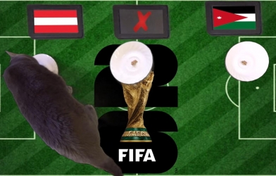 Mèo tiên tri dự đoán tỷ số Áo vs Jordan: Tân binh Jordan bị đè bẹp!