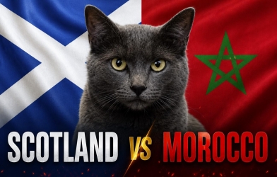 Mèo tiên tri dự đoán tỷ số Scotland vs Morocco: Kết quả gây sốc!