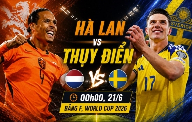 Mèo tiên tri dự đoán tỷ số Hà Lan vs Thụy Điển: Khó có 3 điểm!