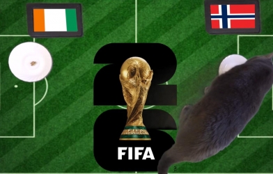 Mèo tiên tri dự đoán tỷ số Bờ Biển Ngà vs Na Uy: Viking đi tiếp!