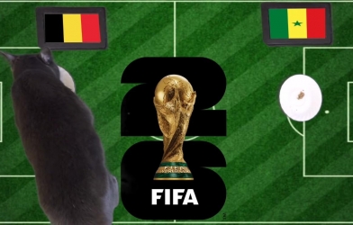 Mèo tiên tri dự đoán tỷ số Bỉ vs Senegal, 3h00 ngày 2/7/2026
