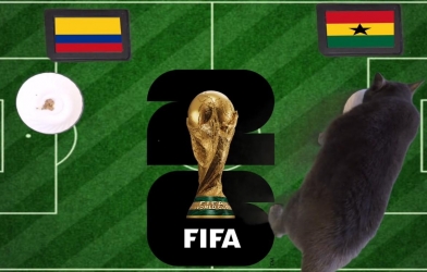 Mèo tiên tri dự đoán tỷ số Colombia vs Ghana: Đau đớn cho Colombia!