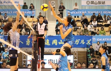 Trực tiếp bóng chuyền Okayama Seagulls vs NEC Red Rockets, 11h05 hôm nay 21/2