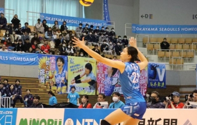 Trực tiếp bóng chuyền Okayama Seagulls vs Denso Airybees, 12h05 hôm nay 28/2