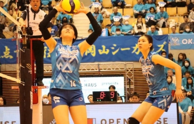 Trực tiếp bóng chuyền Okayama Seagulls vs Denso Airybees, 11h05 hôm nay 1/3