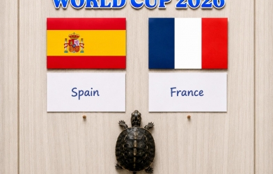 Thần rùa hiển linh dự đoán Pháp vs Tây Ban Nha - World Cup 2026