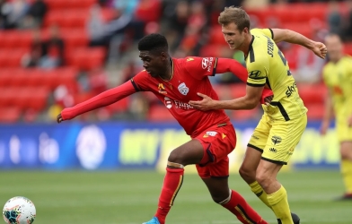 Nhận định Adelaide United vs Wellington Phoenix: Chuyến hành quân phong ba
