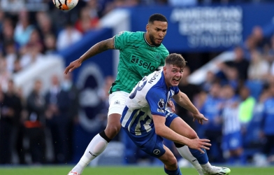 Nhận định Newcastle vs Brighton: Giấc mơ châu Âu