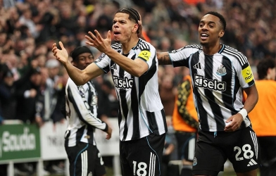 Nhận định Newcastle vs West Brom: Chờ màn thị uy