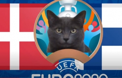 Mèo tiên tri dự đoán Đan Mạch vs Phần Lan: Bất phân thắng bại