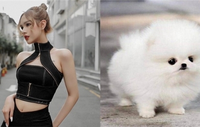 Từng phản đối việc Xemesis nuôi chó nhưng Xoài Non lại bất ngờ tậu về một bé Teacup dễ thương