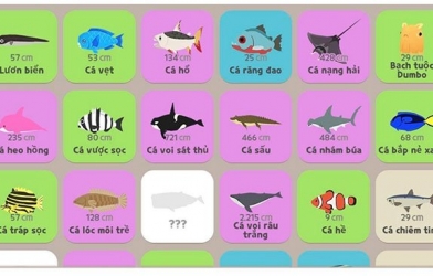 Khung giờ và địa điểm câu cá trong Play Together