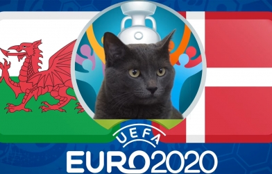 Mèo tiên tri dự đoán Xứ Wales vs Đan Mạch: Thắng lợi kịch tính