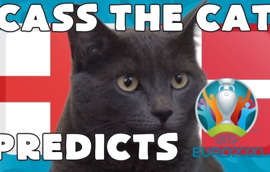 Mèo tiên tri dự đoán kết quả Anh vs Đan Mạch: 'Cửa trên' chắc thắng