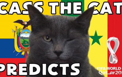 Mèo tiên tri dự đoán kết quả Ecuador vs Senegal: Đội mạnh được chọn