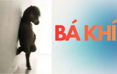 “Bá khí” là gì? Vì sao trào lưu này đang phủ sóng TikTok, Facebook?