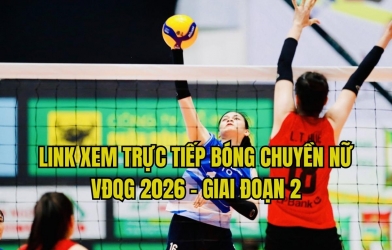 Link xem trực tiếp bóng chuyền nữ hôm nay 15/10