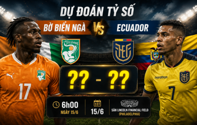 Dự đoán tỷ số Bờ Biển Ngà vs Ecuador: Số bàn thắng cực ít