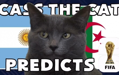 Mèo tiên tri dự đoán tỷ số Argentina vs Algeria: Hú hồn hú vía!