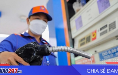 Giá xăng dầu hôm nay 6/8/2026: Giữ giá chờ điều chỉnh