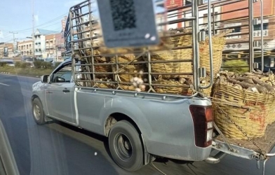 Các quốc gia trên thế giới đang quản lý xe bán tải trong thành phố như thế nào?