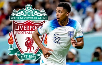 Tin chuyển nhượng 12/1: Ibrahimovic gia nhập CLB vĩ đại; Bellingham cập bến Ngoại hạng Anh