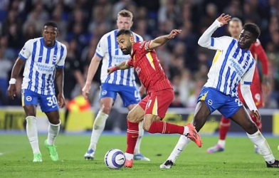 Trực tiếp Brighton vs Liverpool, 19h30 hôm nay 21/3