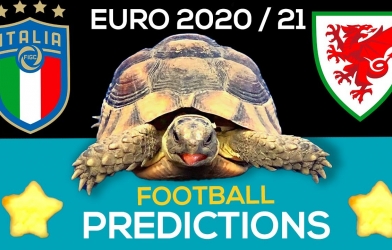 Thần Rùa tiên tri dự đoán kết quả Italia vs Xứ Wales: Định đoạt ngôi đầu