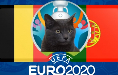 Mèo tiên tri dự đoán kết quả Bỉ vs Bồ Đào Nha: Lộ diện người được chọn