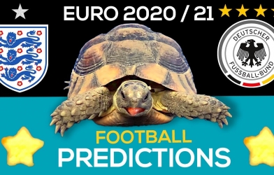 Thần Rùa tiên tri dự đoán kết quả Anh vs Đức: Uy tín tuyệt đối!
