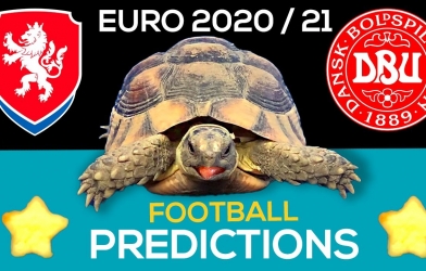 Thần Rùa tiên tri dự đoán kết quả CH Séc vs Đan Mạch: Lựa chọn hoàn hảo