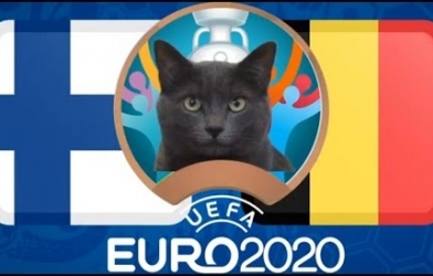 Mèo tiên tri dự đoán Phần Lan vs Bỉ: Đại gia gặp khó?