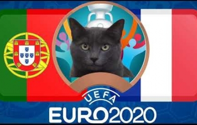 Mèo tiên tri dự đoán Bồ Đào Nha vs Pháp: Dắt tay nhau bước tiếp