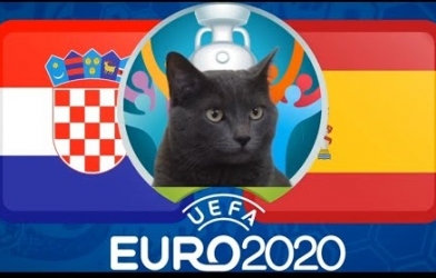 Mèo tiên tri dự đoán Tây Ban Nha vs Croatia: Đại gia chắc thắng