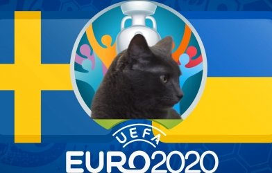 Mèo tiên tri dự đoán Thụy Điển vs Ukraina: 'Cửa dưới' méo mặt!