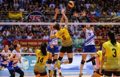 Tuyển bóng chuyền nữ Việt Nam thống trị đoàn đua VTV Cup bóng chuyền quốc tế