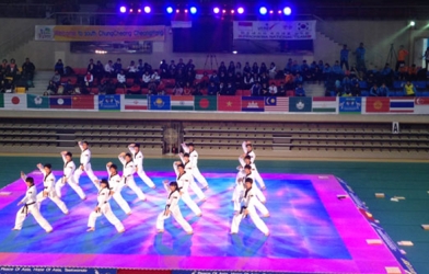 Video: Taekwondo Việt Nam nhảy Gangnam style cực vui nhộn