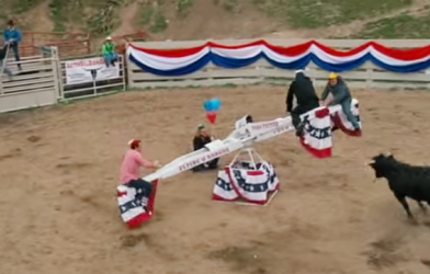 Video hài hước: Màn bập bênh trêu ngươi bò tót rất... tao  nhã