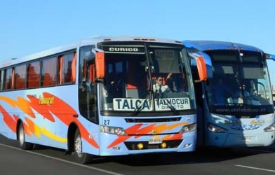 Xe chở đội tuyển Chile suýt đâm chết nữ CĐV